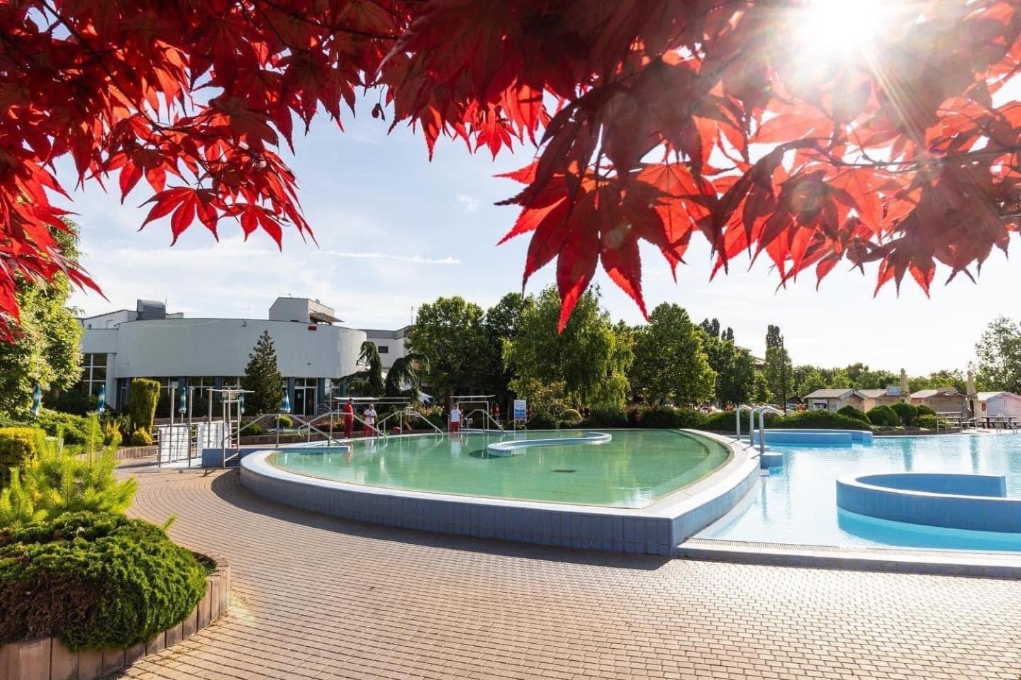 Dom Alex Pri Kupalisku Thermalpark Dunajská Streda Extérieur photo